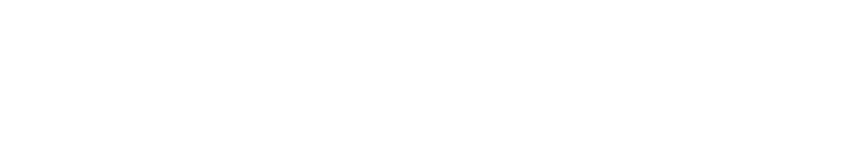 MAXIBIENES